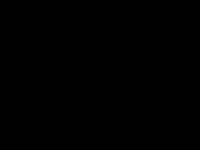 Laryssa